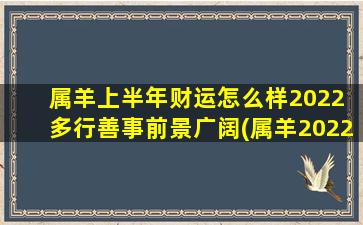 属羊上半年财运怎么样2022 多行善事前景广阔(属羊2022上半年财运展望：多行善事，前途广阔)